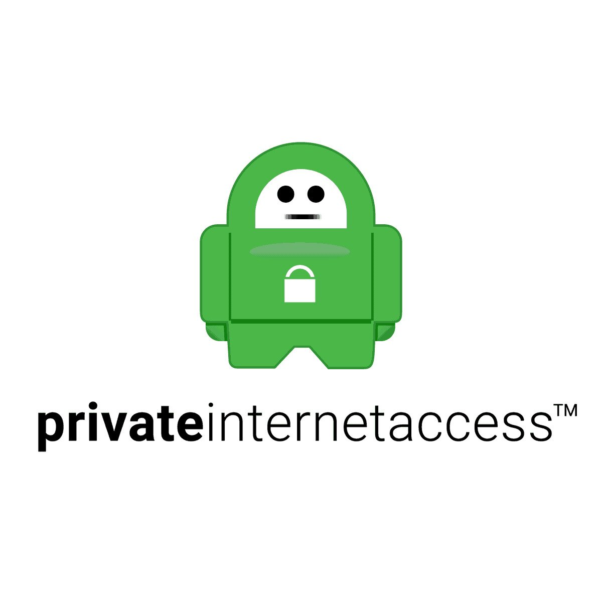 private internet access logo company logo